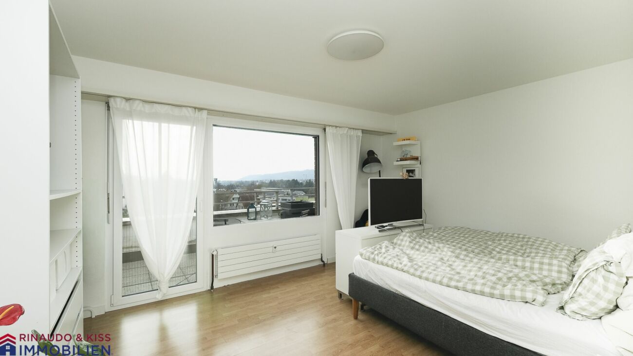 Penthouse apartment with panoramic view