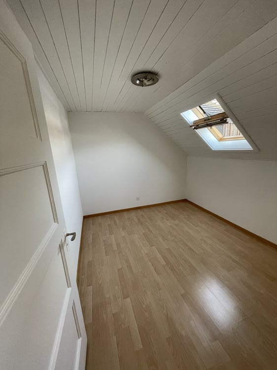 Sanierte 1 - Zimmer Altbauwohnung 5