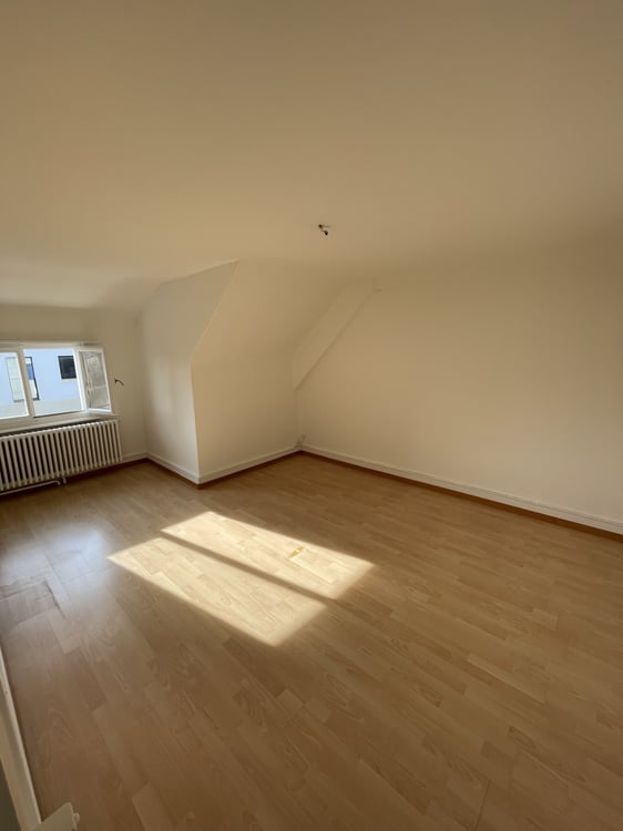 Sanierte 1 - Zimmer Altbauwohnung 8