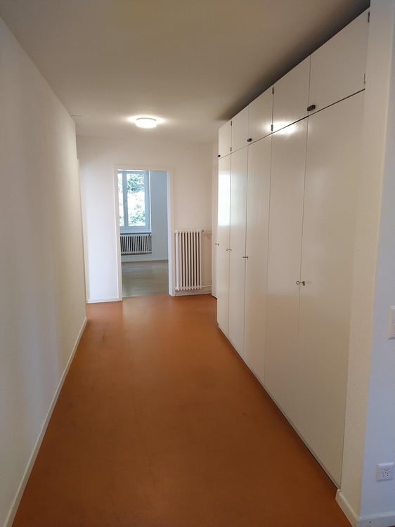 Grosszügige 1 - Zimmerwohung nahe Bahnhof Olten 8