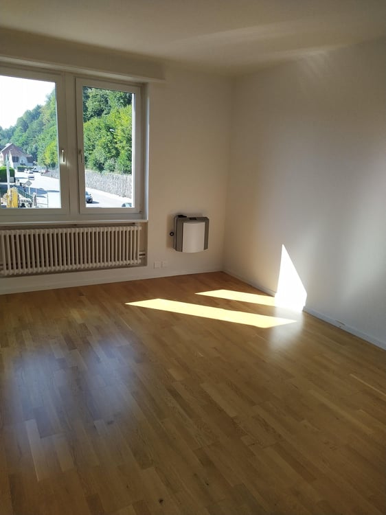 Grosszügige 1 - Zimmerwohung nahe Bahnhof Olten 7