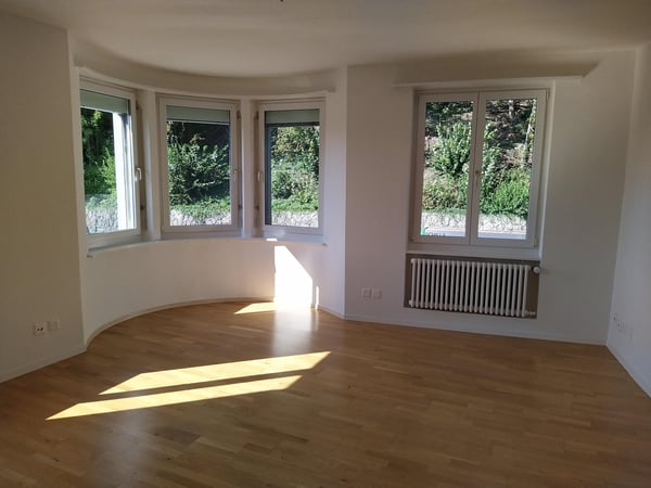 Grosszügige 1 - Zimmerwohung nahe Bahnhof Olten 5