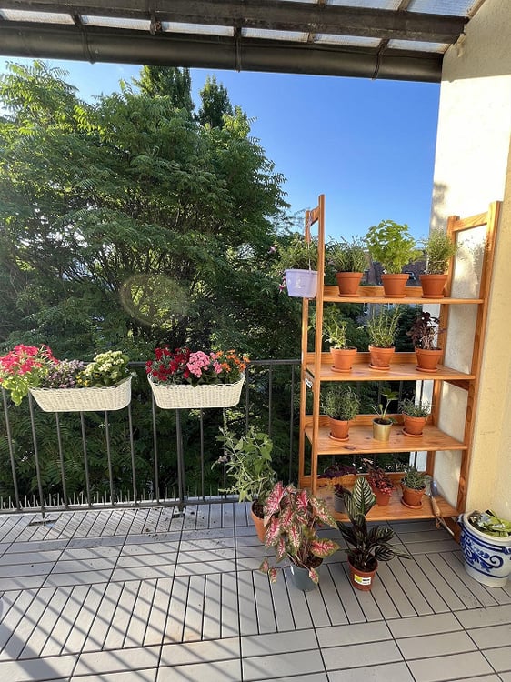 3-Zimmer Wohnung mit Charme im St. Johanns Quartier 8
