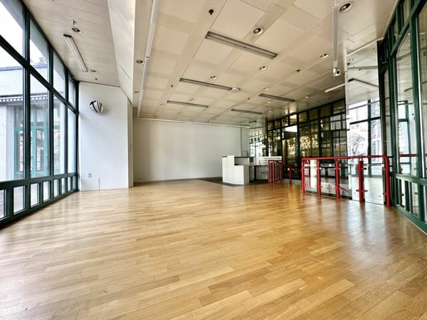 GEWERBEFLÄCHE ZUR MIETE IM HERZEN VON OLTEN 5