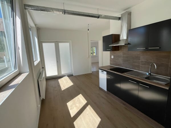 Gewerbefläche zu vermieten - Langendorf 6