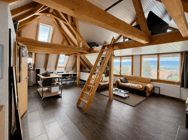 UNVERBAUBARER WEITBLICK ÜBER DEN JURA 7