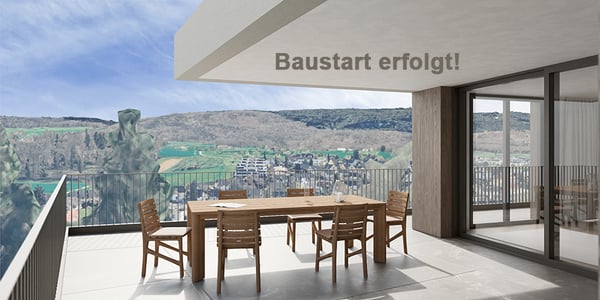 Exklusive Attikawohnung mit grosser Attikaterrasse und hoher Energieeffizienz. Neue Preise! - W7 1