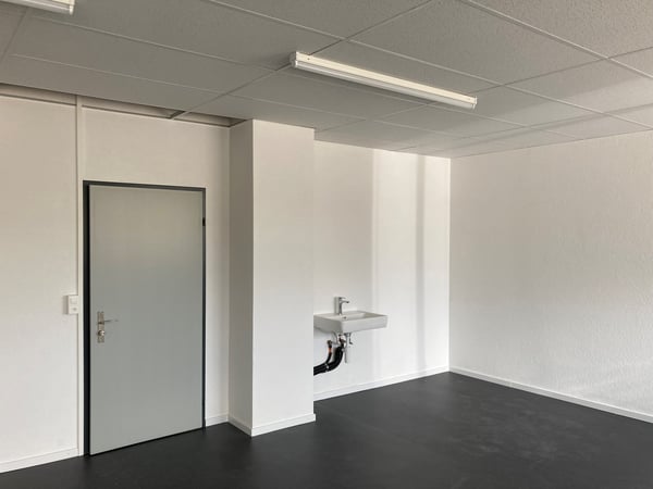 Saniertes Atelier im Dreispitzareal zu vermieten 4