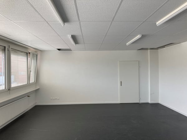 Saniertes Atelier im Dreispitzareal zu vermieten 3