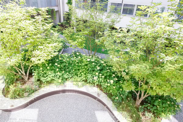 Büro-/Praxisräume - 