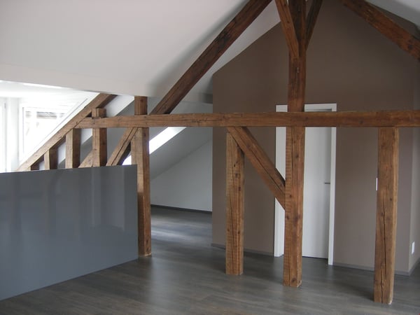 Charmante Loft-Wohnung mit sonniger Terrasse 1