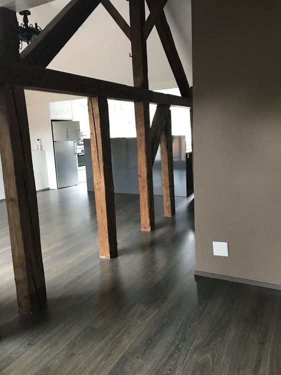 Charmante Loft-Wohnung mit sonniger Terrasse 6