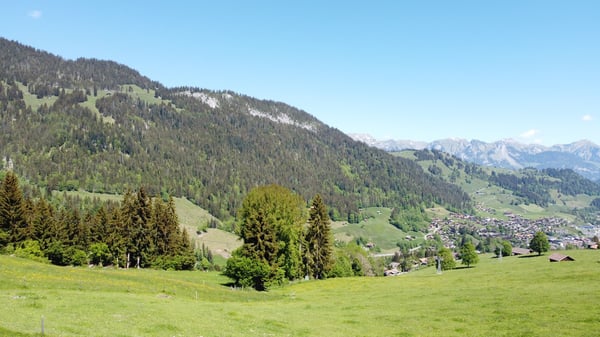 Fantastisches Baulandgrundstück 990 m2 für Neubau von Einzel- oder Doppelgebäude 6