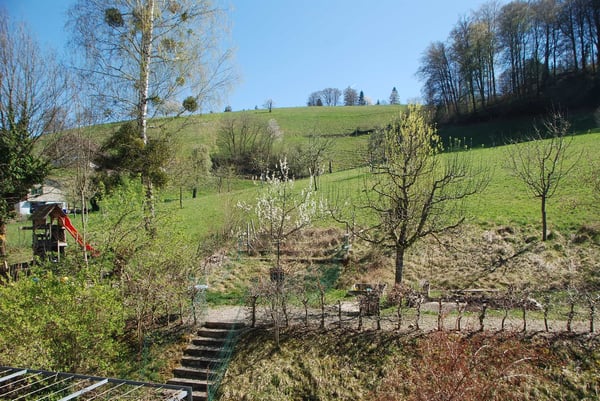 Familienfreundliches, modernes & grosszügiges Reihen-Eckeinfamilienhaus mit Garten und vielen Extras 11