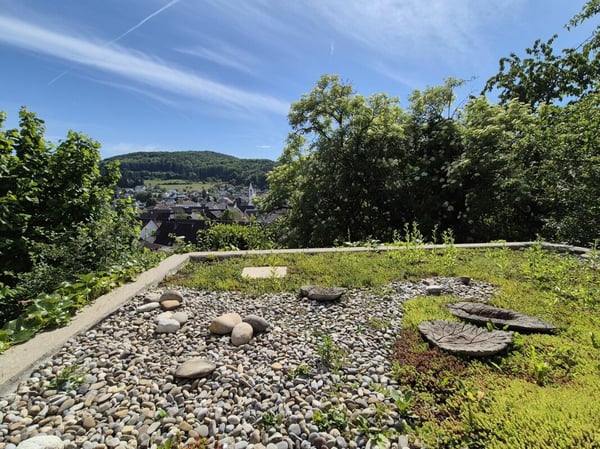 Exklusive moderne Eigentumswohnung in Zeiningen 9