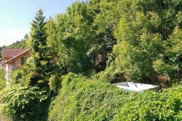 Areal mit Potenzial - Haus mit vielseitigen Ausbau- und Möglichkeiten 2