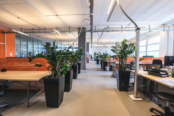 Zwischenvermietung - Büro- und Lagerflächen direkt am Rhein 7