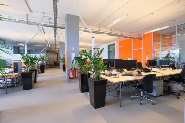 Zwischenvermietung - Büro- und Lagerflächen direkt am Rhein 5