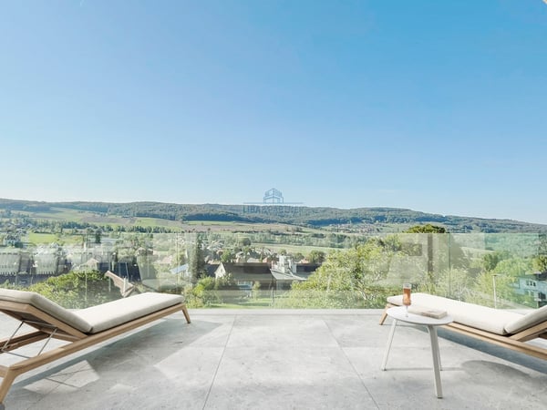 «The View» - Stilvolles Wohnen mit Weitblick in Rodersdorf 5