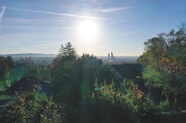 Wohnen mit Panorama über Basel - unverbaubar und einzigartig 13