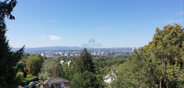 Wohnen mit Panorama über Basel - unverbaubar und einzigartig 2