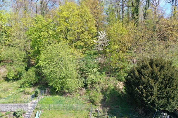 Bruderholz: Exklusive Design-Attikawohnung mit Panoramablick 10