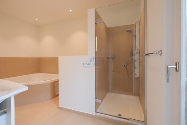 Attika-Maisonette mit unverbaubarem Weitblick über Binningen & Basel 11