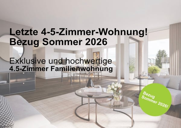 Letzte 1.5-Zimmer Wohnung