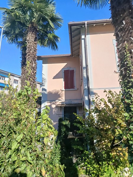 Terrace, Red shutters, palm trees