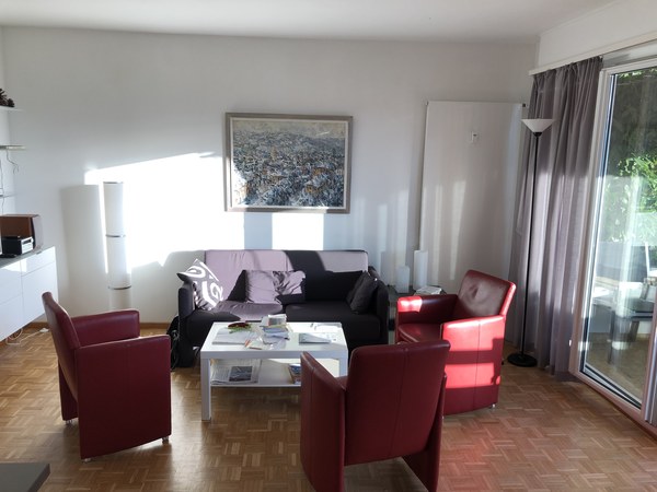 Large room with modern furniture, two sofas, coffee table, and a framed picture on the wall.