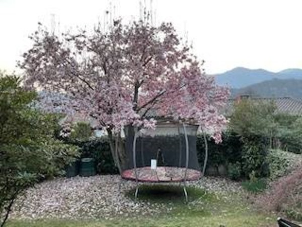 Casa unifamiliare 1.5 locali con giardino. Animali benvenuti. 1