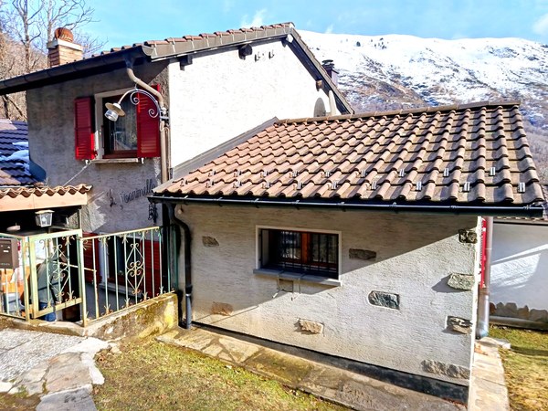 Mountain house, brown roof, white walls, red shutters, small front garden, chimney