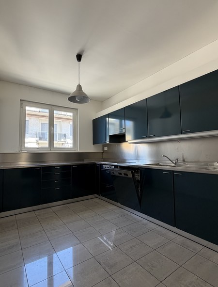 Lugano-Cassarate. Affittiamo appartamento 4.5 locali vista lago 6