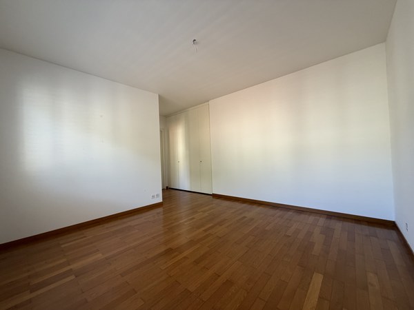 Lugano-Cassarate. Affittiamo appartamento 4.5 locali vista lago 7