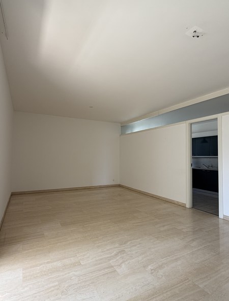 Lugano-Cassarate. Affittiamo appartamento 4.5 locali vista lago 3