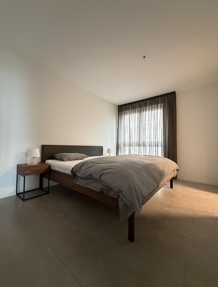 Elegante appartamento arredato di 3.5 locali con vista lago 5