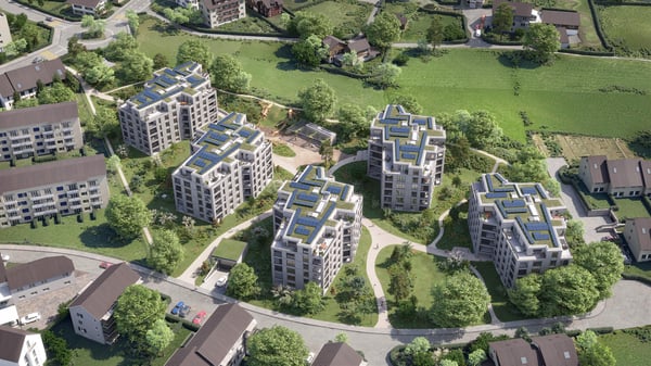 2.5 Zimmerwohnung in Uster 2