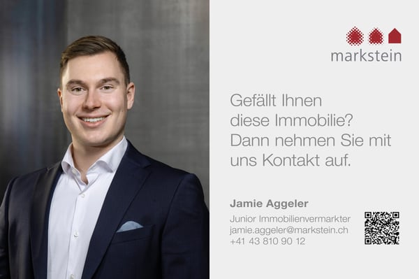 2.5 Zimmerwohnung in Zürich 5