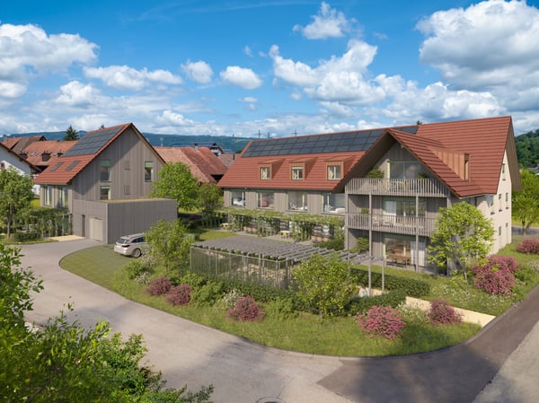 «Filo Verde» - hier verzweigt sich das Leben neu 6