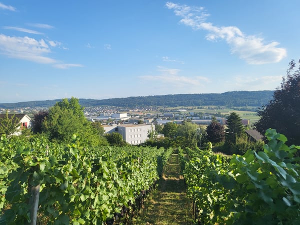 Exklusives Wohnbauland mit unverbaubarer Weitsicht in der Gemeinde ... 1