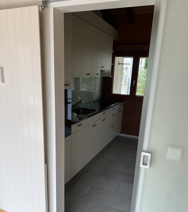 2.5-Zimmer-Attika mit grosser Terrasse & Weitblick frisch renoviert 5
