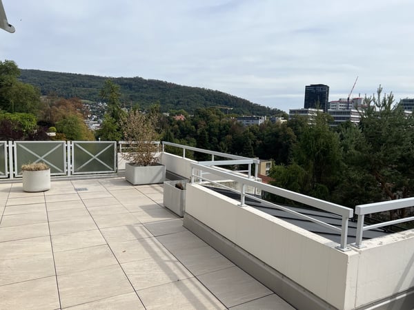 2.5-Zimmer-Attika mit grosser Terrasse & Weitblick frisch renoviert 1
