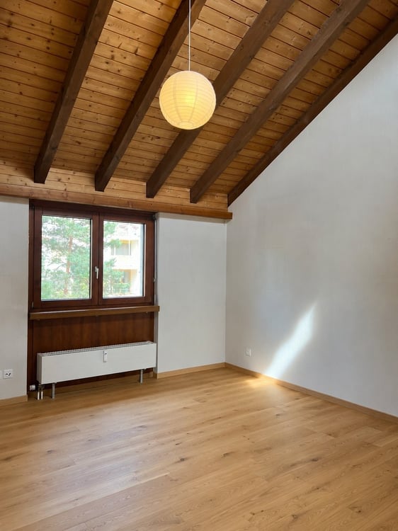 2.5-Zimmer-Attika mit grosser Terrasse & Weitblick frisch renoviert 8