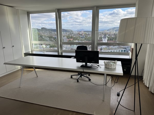 Über den Dächern von Baden - exklusives Wohnen mit Weitblick, Cheminée 5