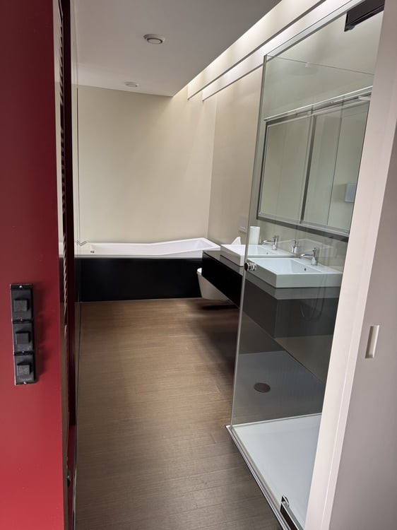 Über den Dächern von Baden - exklusives Wohnen mit Weitblick, Cheminée 6