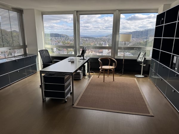 Über den Dächern von Baden - exklusives Wohnen mit Weitblick, Cheminée 4