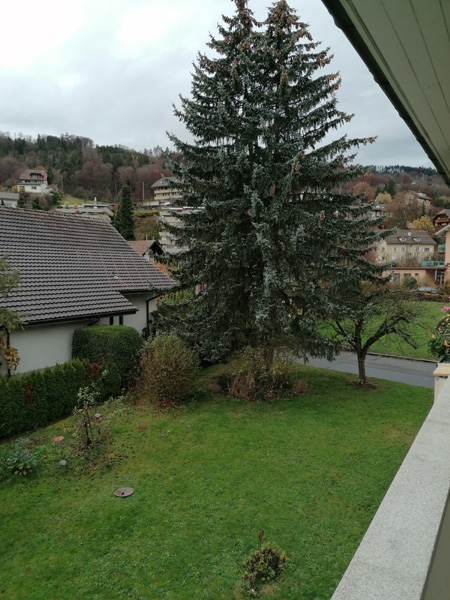 Zentrale und ruhige Lage 4