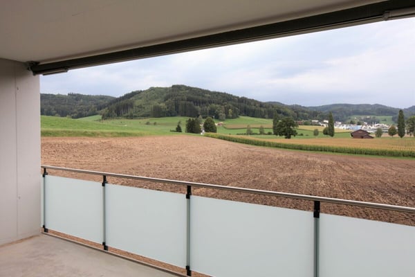 Moderne 4.5-Zimmer-Erdgeschosswohnung mit Aussicht ins Grüne! 10