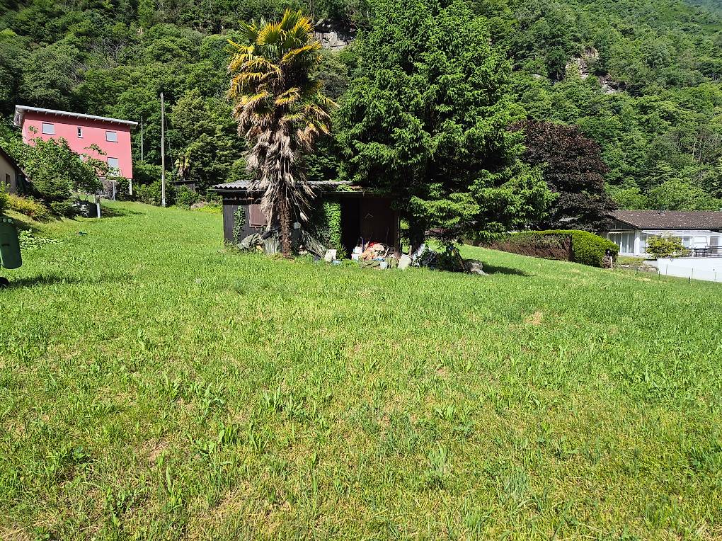 A wide open lawn with several houses in the background