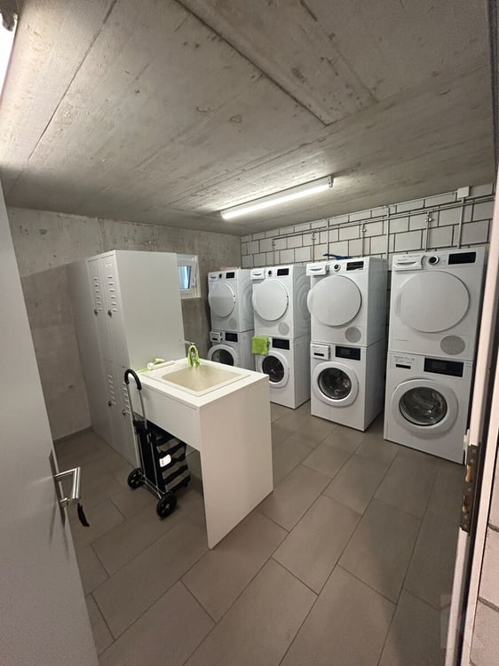 5.5 Zimmer- Familienwohnung mit toller Gartenfläche 12